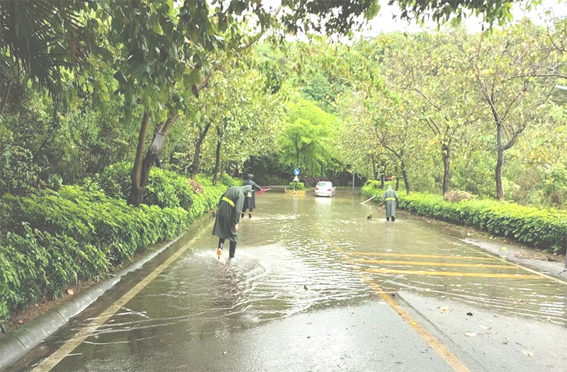 广东军卫保安服务队员暴雨中紧急救援，确保道路畅通获好评